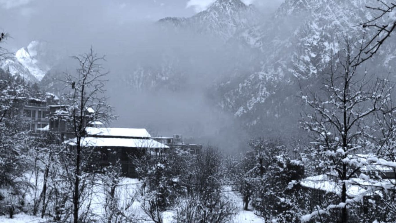 Trip Image 1